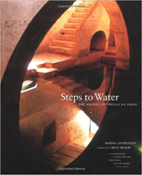 STEPS TO WATER THE ANCIENT STEPWELLS OF INDIA