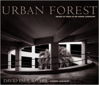 URBAN FOREST - IMAGES OF TREES IN THE HUMAN LANDSCAPE