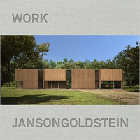 JANSON GOLGSTEIN - WORK